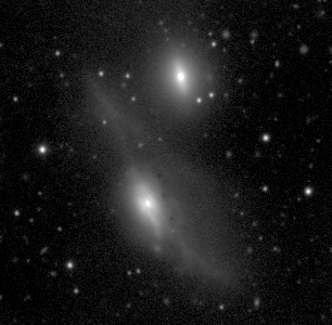 Interacting galaxies NGC 4435/8
from SARA 0.9m telescope